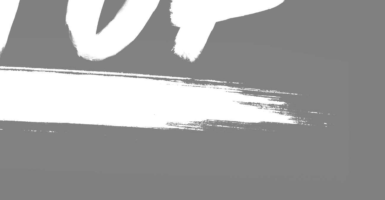 NSPlogo_page 01h